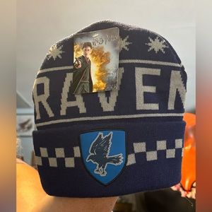 Ravenclaw Harry Potter Beanie